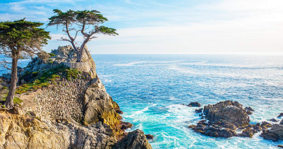 Monterey, Carmel and the 17Mile Drive Day Tour from San Francisco Klook